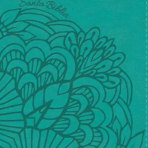 NVI Biblia letra Grande tamaño manual Aqua índice, simil piel