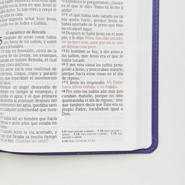 Biblia Manual Letra Grande - Imagen 7