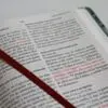 Biblia RV60 Tela verde con flores