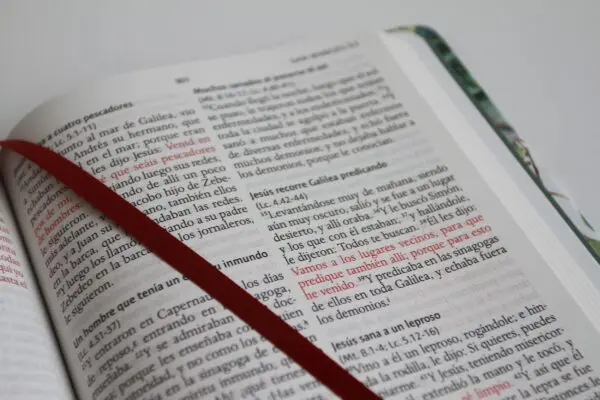 Biblia RV60 Tela verde con flores
