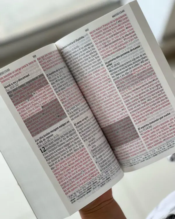 Biblia Reina Valera 1960 Letra Grande con Promesas - Imagen 3