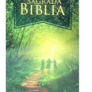 Dios habla hoy en camino de Emaus