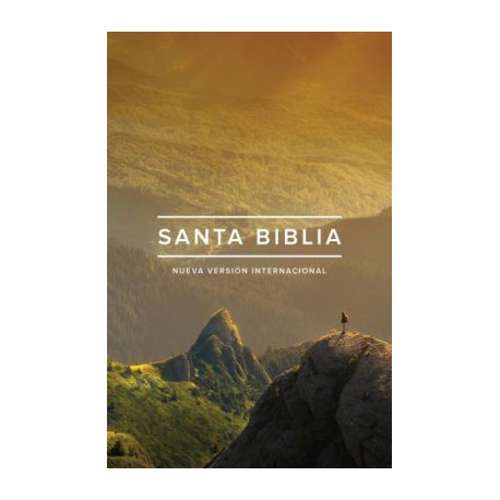 NVI Biblia edición ministerial