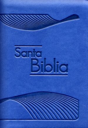 Biblia/Azul/ Canto Plateado/RV