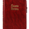 Biblia/ RVR/ Vinotinto Canto Dorado Indice