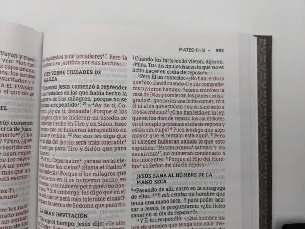 Nueva Biblia de las americas letra grande
