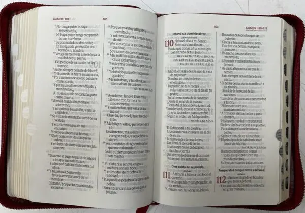 Biblia/ RVR/ Vinotinto Canto Dorado Indice - Imagen 2