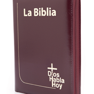 DHH/Color Vinotinto/Letra Gigante