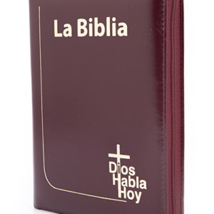DHH/Color Vinotinto/Letra Gigante