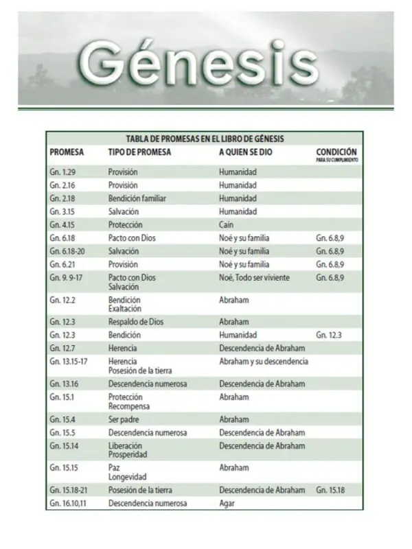 Biblia de Estudio Promesas - Reina Valera - Imagen 4