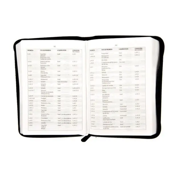 Biblia de Estudio Promesas - Reina Valera - Imagen 3