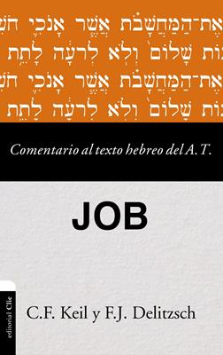 Comentario Al Texto Hebreo Del A.T / Job