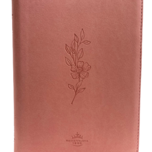 Biblia / Indice Rosado Canto Plateado