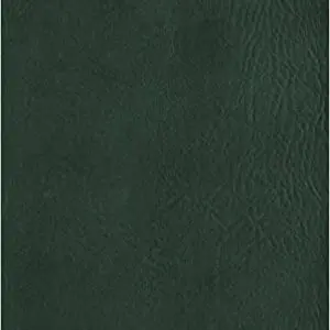 Biblia Del Pescador NVI