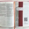 Biblia / Indice Rosado Canto Plateado
