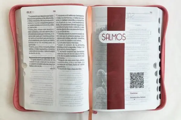 Biblia / Indice Rosado Canto Plateado
