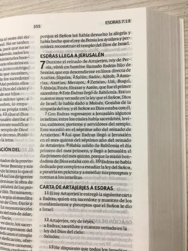 Biblia Nueva Versión Internacional Floral - Imagen 2