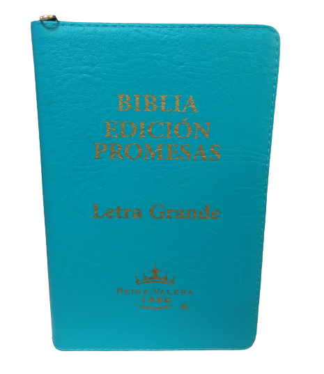 Biblia Reina Valera 1960 Letra Grande con Promesas