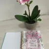 Diario de una Joven Conforme al Corazón de Dios - Imagen 3