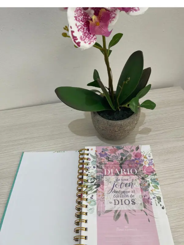 Diario de una Joven Conforme al Corazón de Dios - Imagen 3