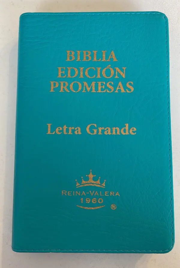 Biblia Reina Valera 1960 Letra Grande con Promesas - Imagen 8