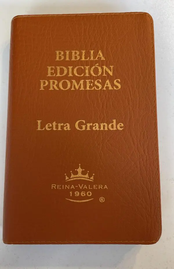 Biblia Reina Valera 1960 Letra Grande con Promesas - Imagen 7