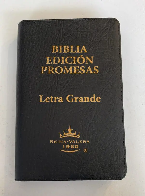 Biblia Reina Valera 1960 Letra Grande con Promesas - Imagen 4