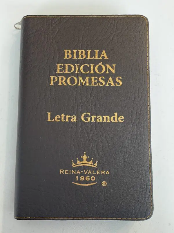 Biblia Reina Valera 1960 Letra Grande con Promesas - Imagen 5
