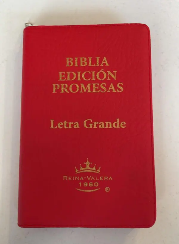Biblia Reina Valera 1960 Letra Grande con Promesas - Imagen 6