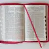 Biblia Reina Valera 1960 letra grande Símil piel Fucsia /cierre/ indice - Imagen 6