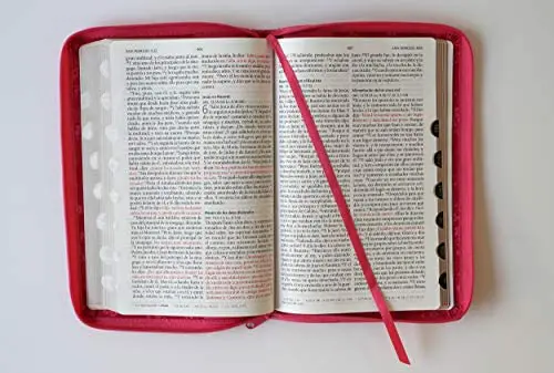 Biblia Reina Valera 1960 letra grande Símil piel Fucsia /cierre/ indice - Imagen 6