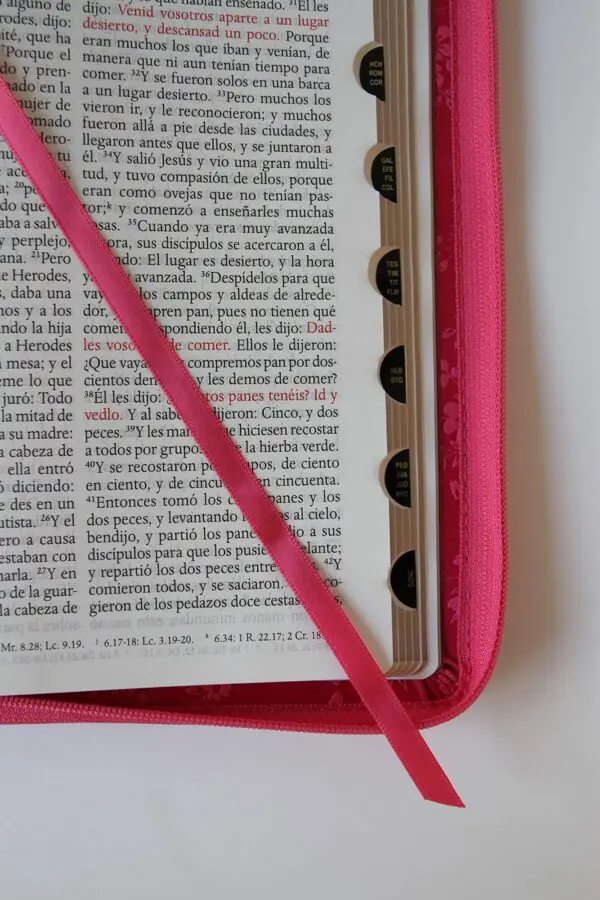 Biblia Reina Valera 1960 letra grande Símil piel Fucsia /cierre/ indice - Imagen 5