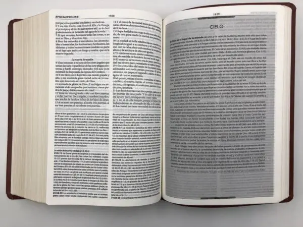 Biblia de Estudio Herencia Reformada