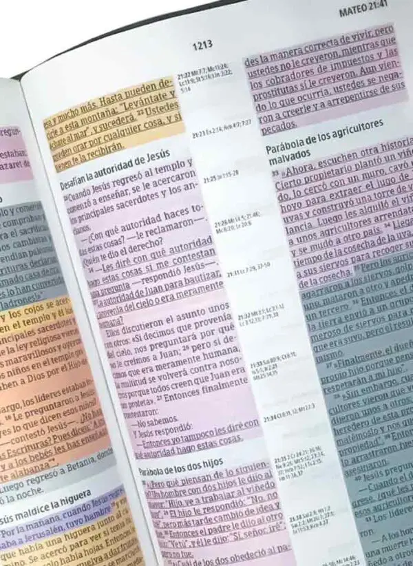 Biblia De Estudio Arco Iris Chocolate Simil Piel - Imagen 2