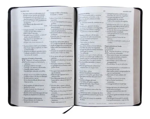 Biblia Reina Valera 1960 letra grande. Símil piel tamaño manual - Imagen 2