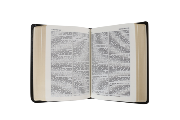 Biblia compacta color negro Reina Valera 1960 - Imagen 2