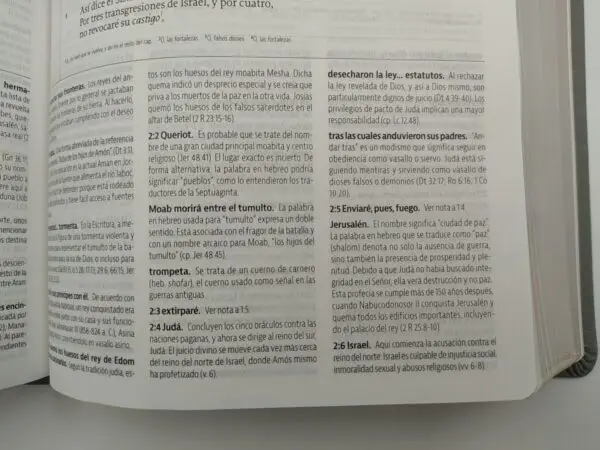 LBLA La Biblia de Estudio de La Reforma Tapa Dura - Imagen 2