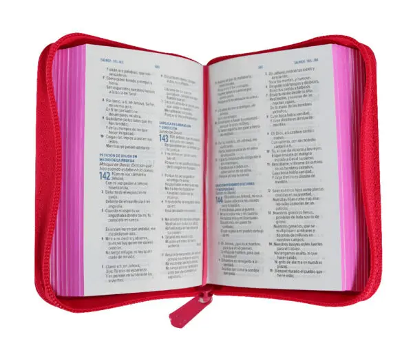 Biblia 025 Fucsia con cierre RVR60 - Imagen 4