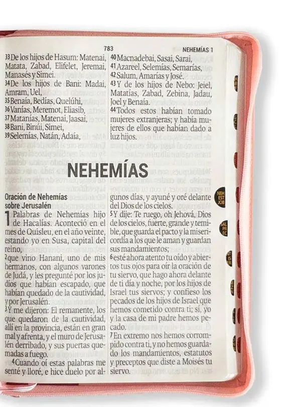 Biblia 086 letra super gigante 19 pt Rosada - Imagen 2