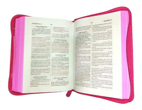 Biblia 025 Fucsia con cierre RVR60 - Imagen 3