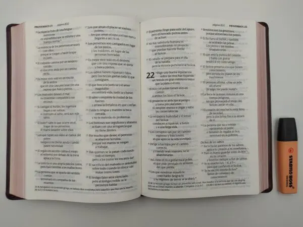 Biblia NTV/Edicion Clasica/Sentipiel/Vino Tinto - Imagen 3