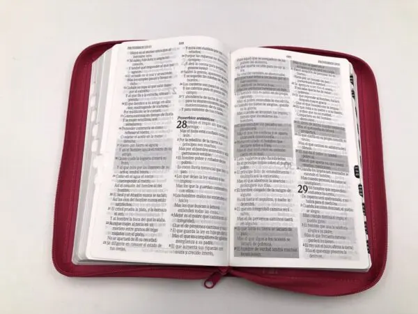 Biblia/RVR60/Promesas/Manual/Imitación Piel/Cierre/Índice/Fucsia - Imagen 4