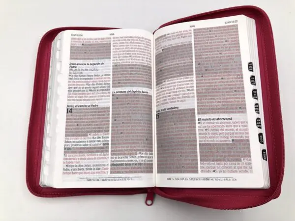 Biblia/RVR60/Promesas/Manual/Imitación Piel/Cierre/Índice/Fucsia - Imagen 5