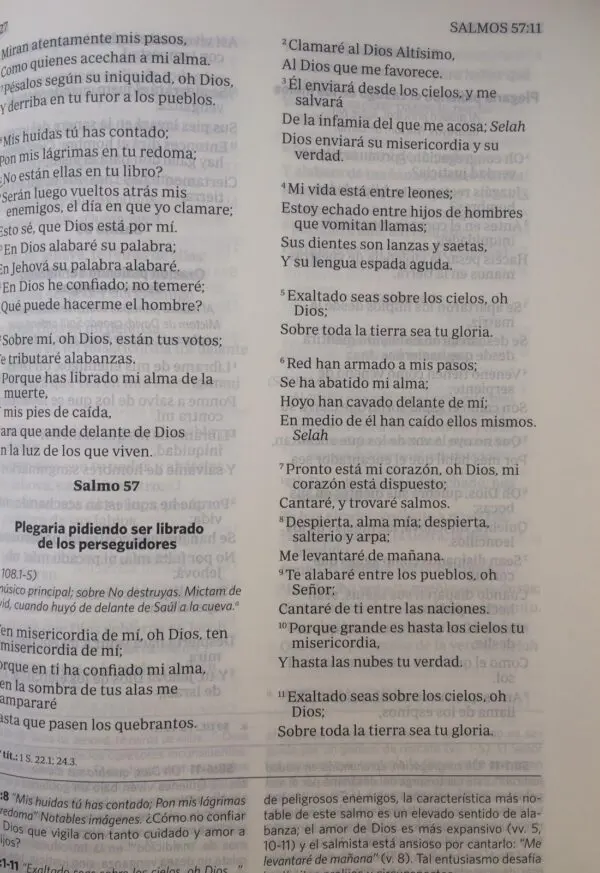 Biblia Renovare Duo Tono Violeta Beige RV60 - Imagen 2