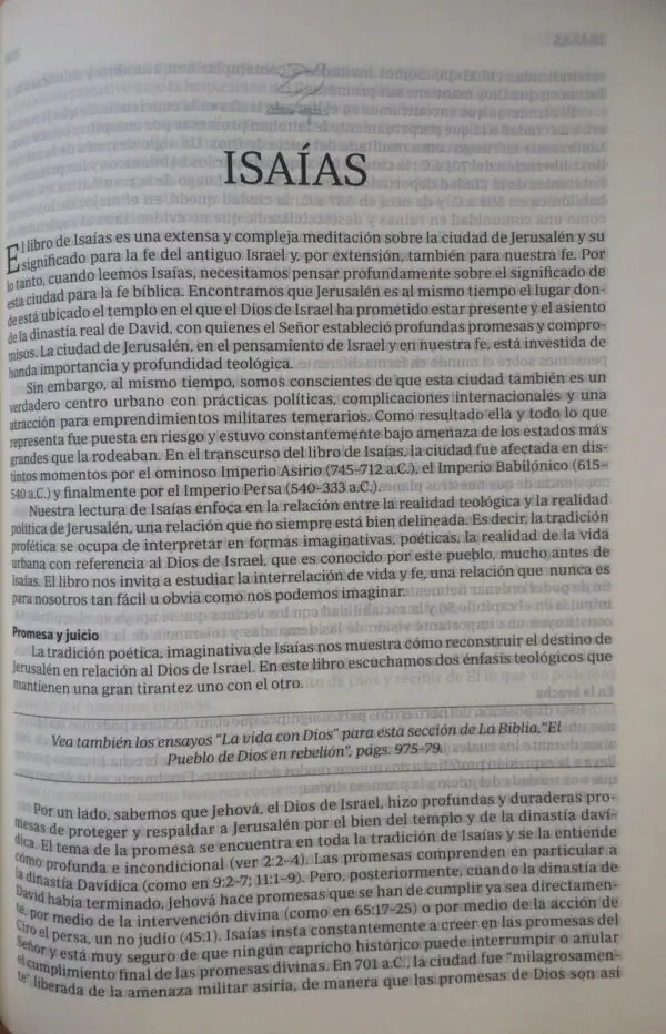 Biblia Renovare Duo Tono Violeta Beige RV60 - Imagen 3