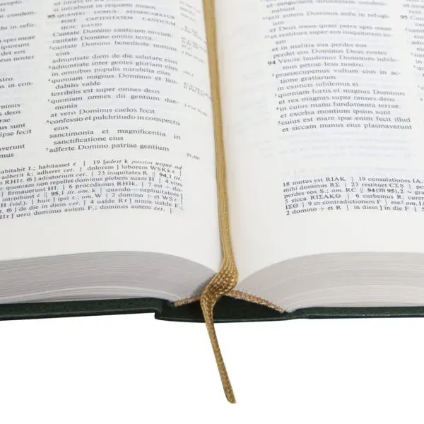 Biblia Vulgata - Imagen 2