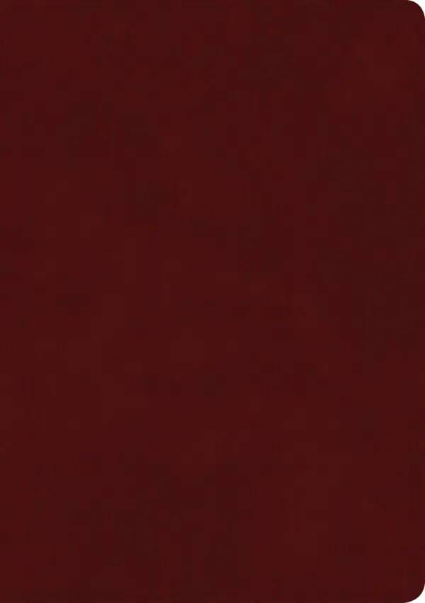 Biblia NTV/Edicion Clasica/Sentipiel/Vino Tinto - Imagen 2