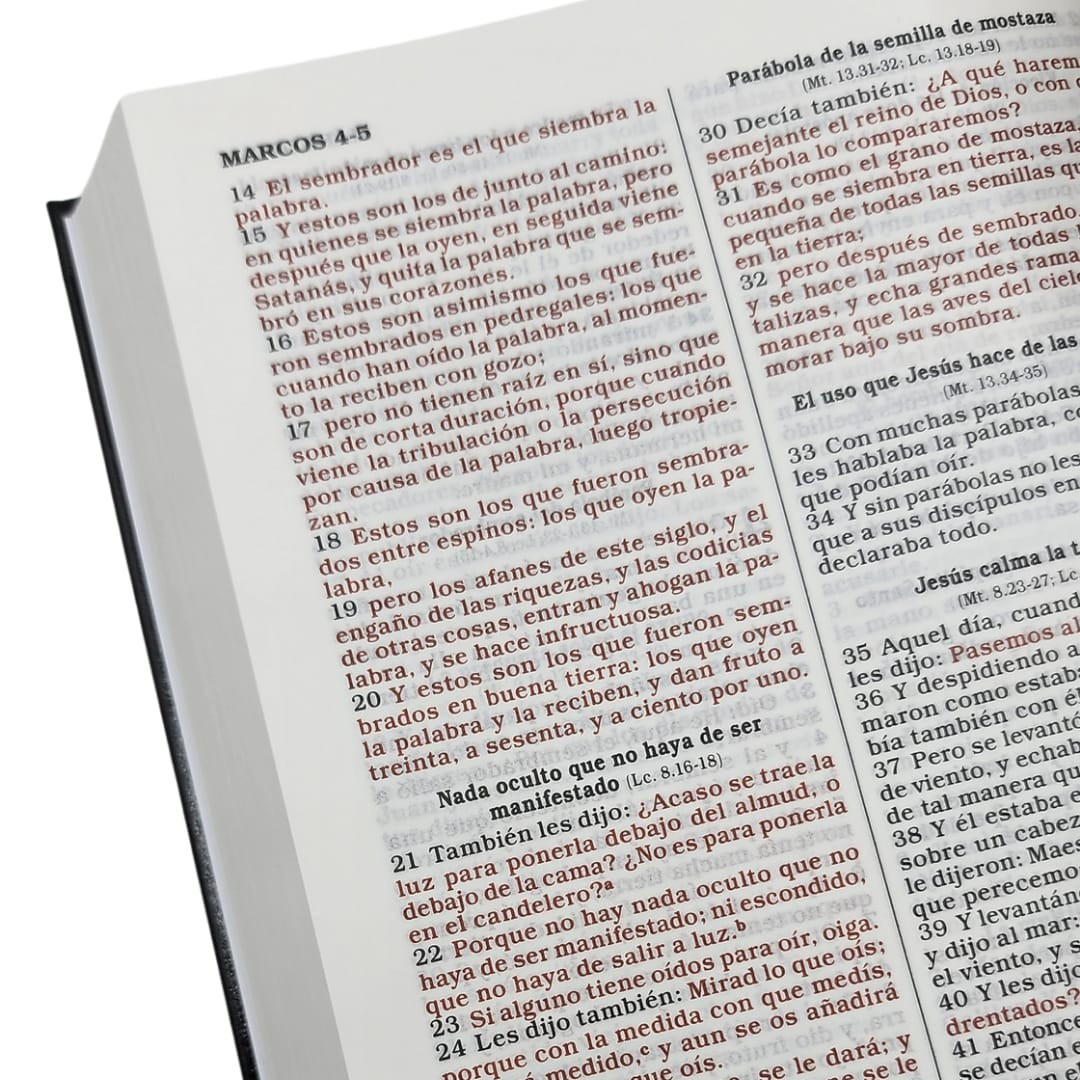 Biblia/RVR/Regalos Y Premios/Tapa Dura/Negro - Imagen 3