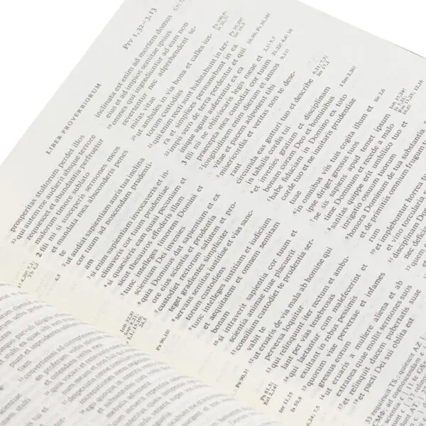 Biblia Vulgata - Imagen 6