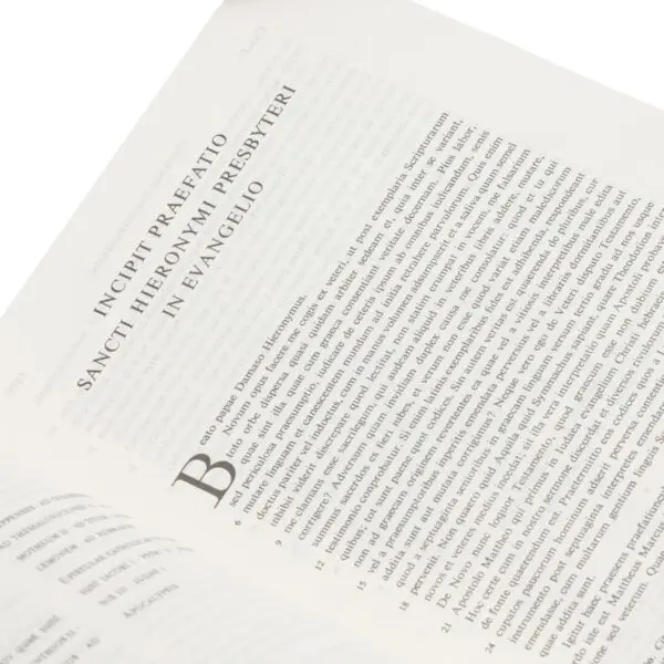Biblia Vulgata - Imagen 5